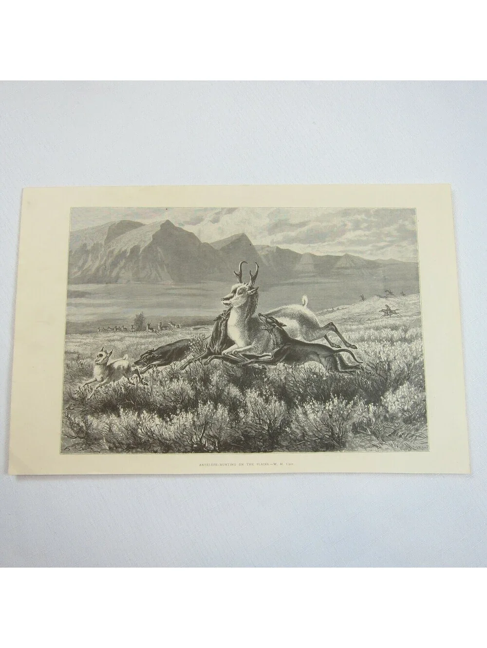 Antique 1874 Engraving Print Antelope-Hunting on the Plains, WM Cary, The Aldine